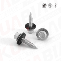 六角華司復合尖尾螺釘6X25+連體墊片